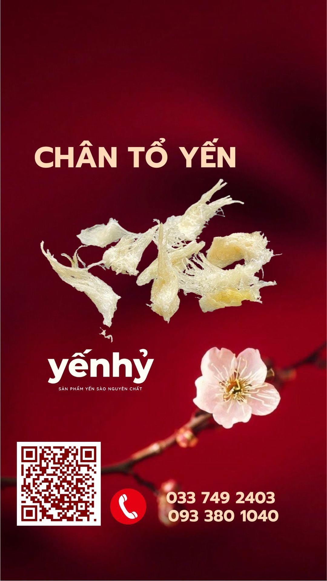 Chân Tổ Yến - Sợi Giòn - Chắc và giá trị dinh dưỡng cao