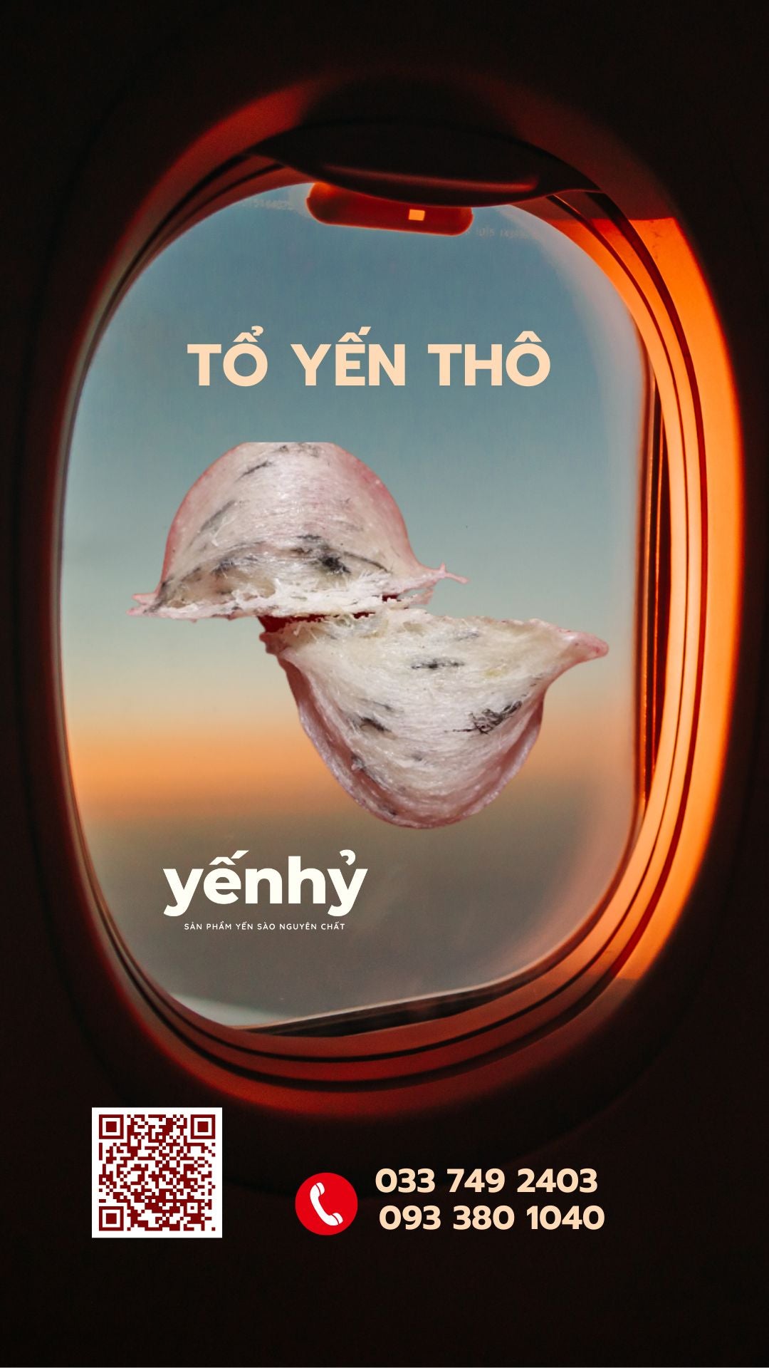 Tổ Yến Thô