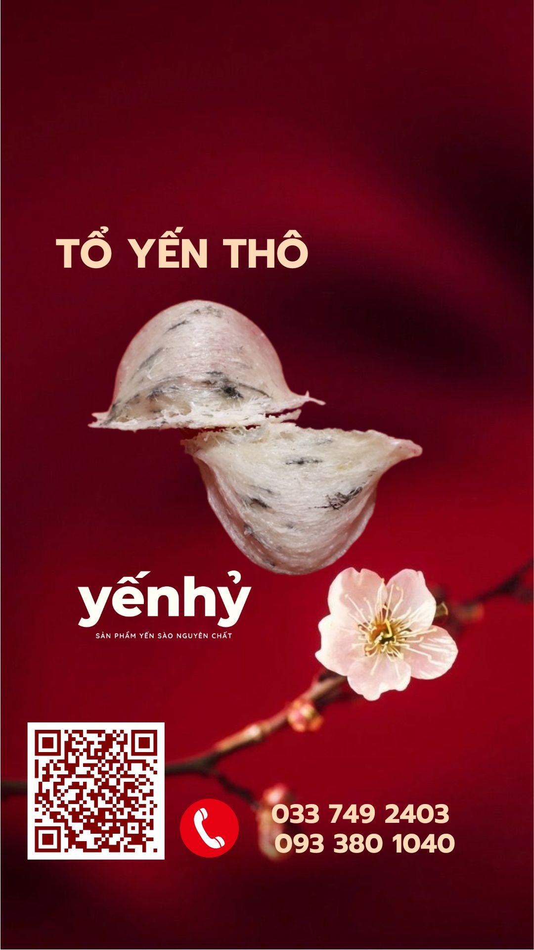 Tổ Yến Thô